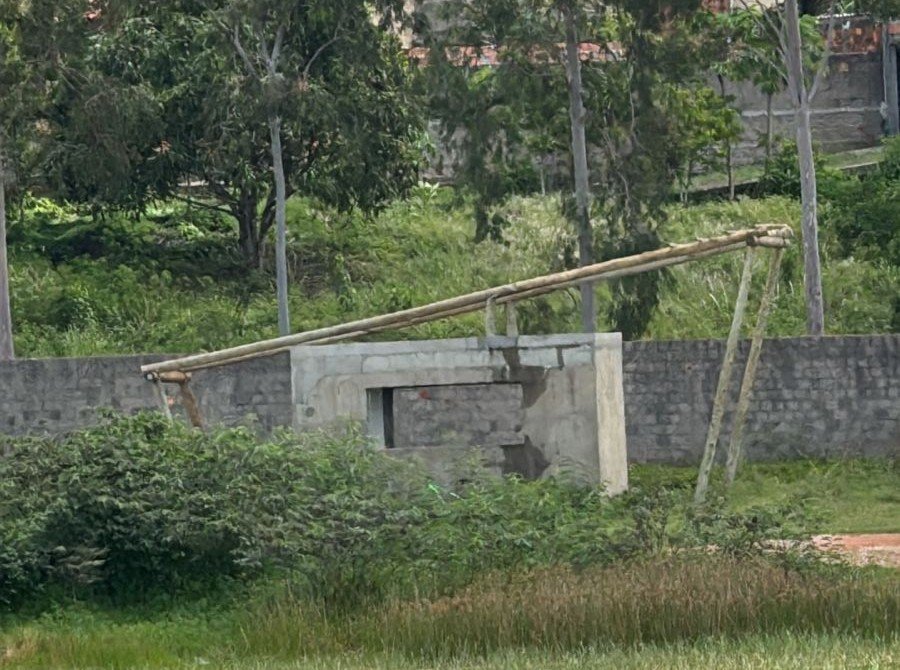 Estrutura tomada pelo mato