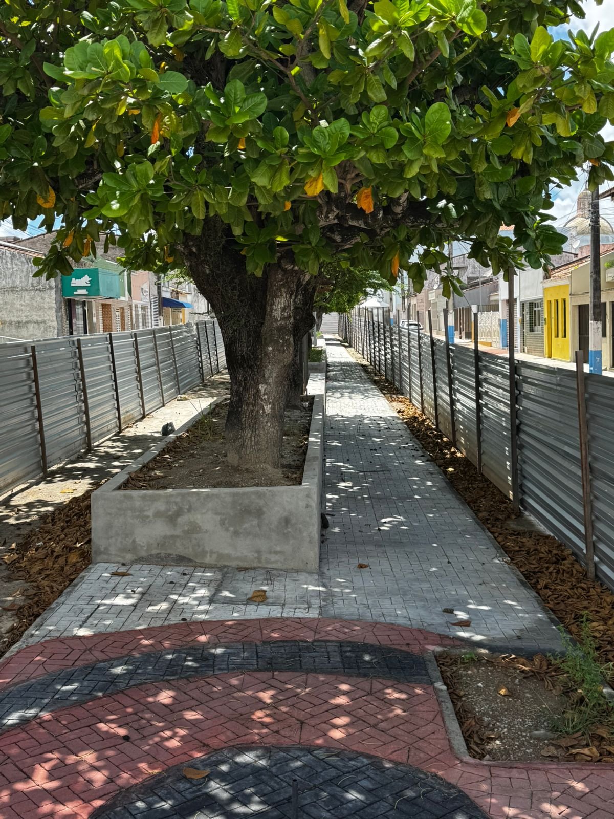 Árvores e calçadas na praça